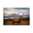 Scottish Stag by Adrian Popan - Wrapped Canvas Gallery-Wrapped Canvas Giclée-1974012590