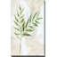 Botanical Bliss I par Nan - Peinture-86816281-81597995