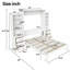 Lit escamotable blanc pleine grandeur avec étagères et tiroirs de rangement ouverts, lit mural escamotable gain de place pour les petits appartements