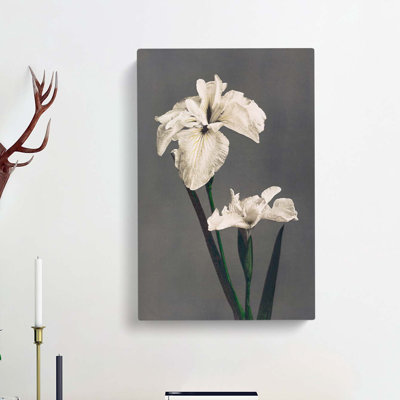 White Iris Flower by Kazumasa Ogawa - Wrapped Canvas Painting