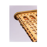 Flatiron Print by Francis Augustine