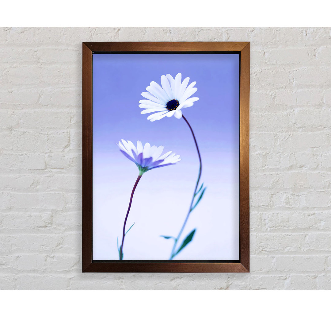 Kunstdruck White Daisy Duo On Lilac