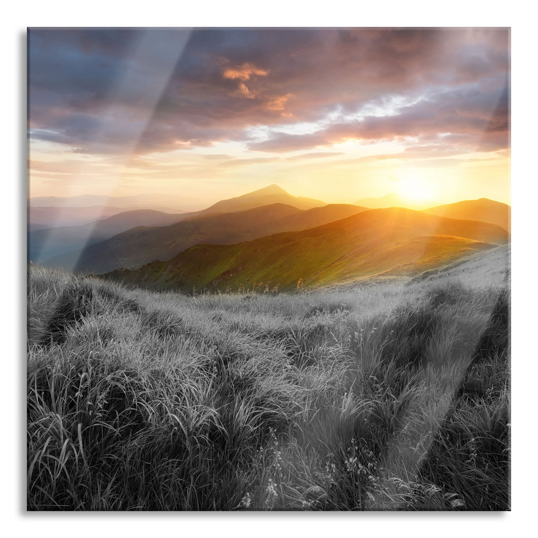 Glasbild Sommerliche Bergwiese bei Sonnenuntergang, schwarz-weiß Detail