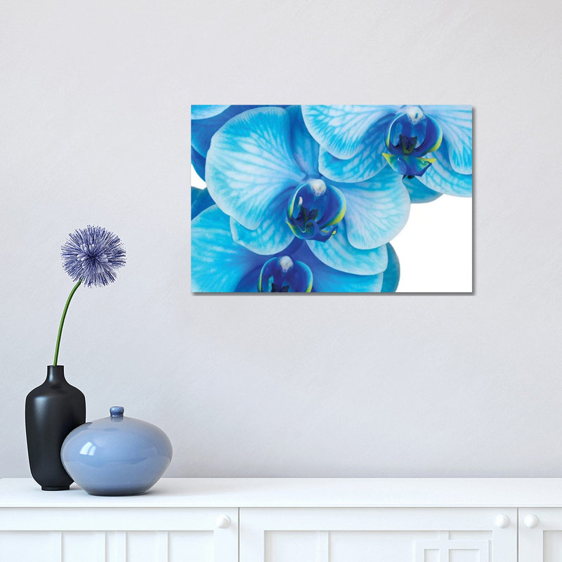 Blue Orchid II by Glauco Meneghelli - Floater Frame Print on Canvas, Wrapped Canvas, 66.04 cm H x 45.72 cm W x 3.175 cm D