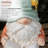 Gnomes Garden Statue