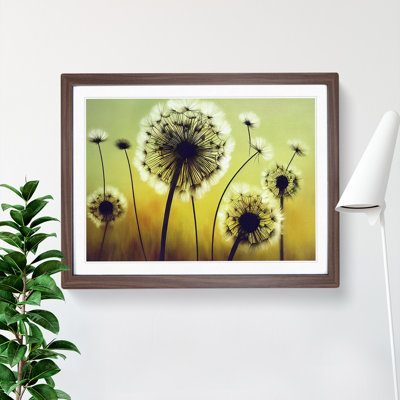 XH1022-8861X Terrific Dandelion Flowers 1 Piece Single Picture Frame Wall Art