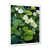 Cadre simple blanc