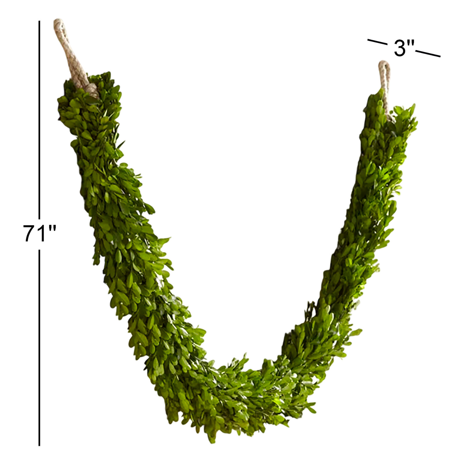 71'' in. Preserved Boxwood Garland