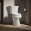 Kohler Highline Concealed Trapway Comfort Height Elongated Bowl-118427480