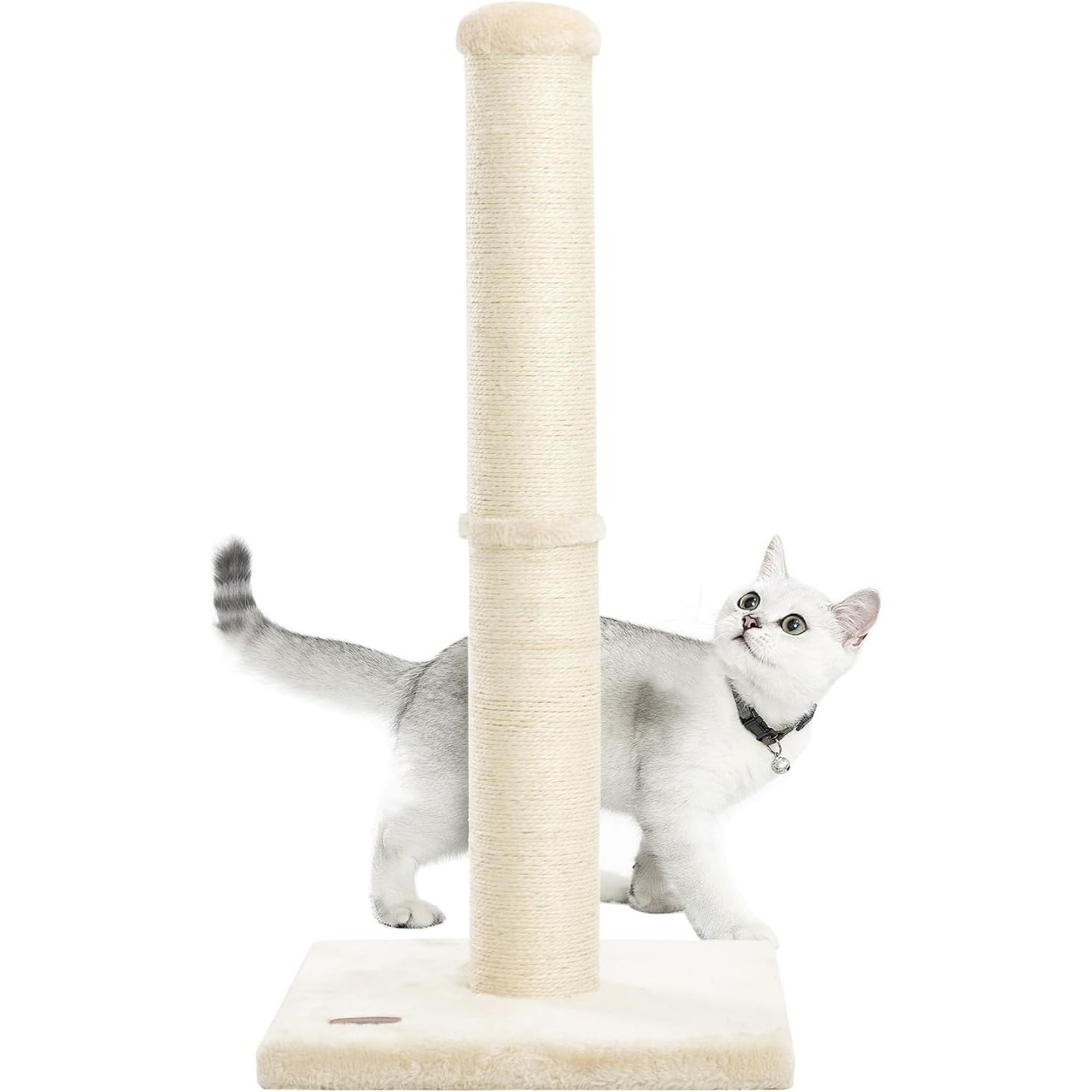 34Inch Cat Scratching Post With Natural Sisal Rope 4.3Inch Large Diameter Scratcher Post Tree For Indoor Cats Tucker Murphy Pet Color: Beige