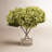 Hydrangea Arrangement