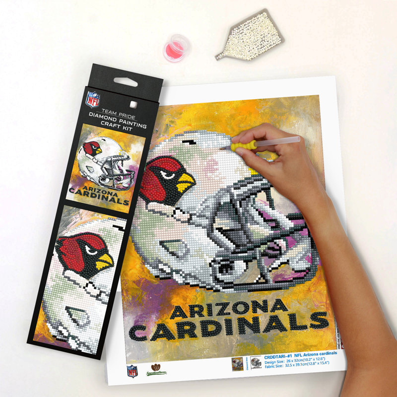 KIT DE PEINTURE DIAMANT NFL DALLAS COWBOYS, NFL Dallas Cowboys