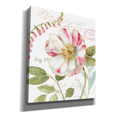 One Allium Way® «Rainbow Seeds Botanical II» par Lisa Audit, art mural sur toile