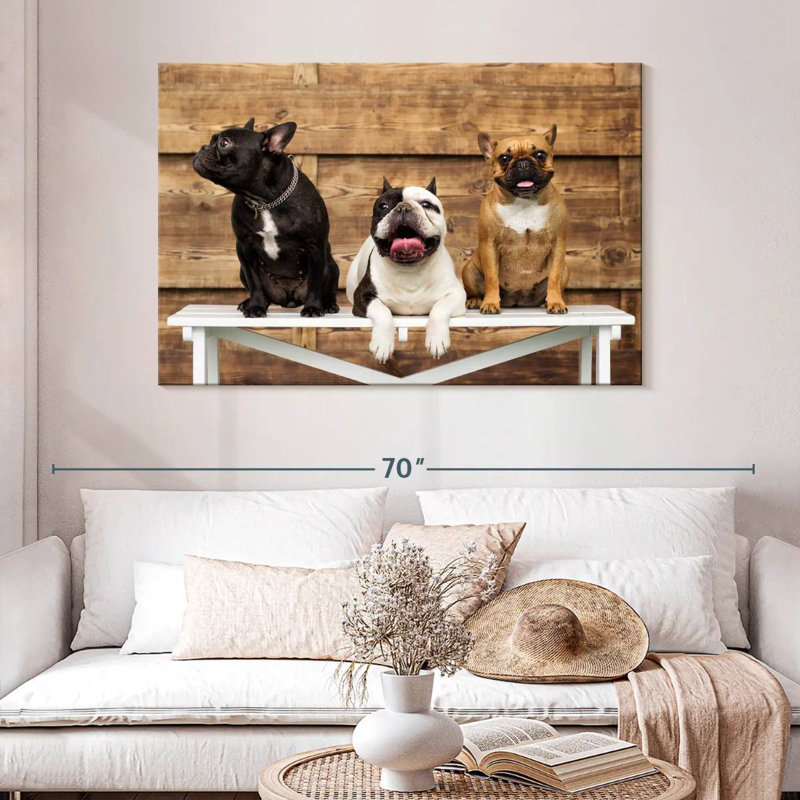 Brampt Bulldog Trio, H 32 po x l 48 po