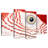 Brampt Macaw Parrot Eye