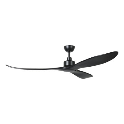 Zionne Ceiling Fan