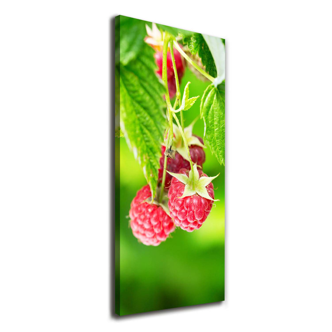 Himbeeren auf dem Busch - Kunstdrucke auf Leinwand - Wrapped Canvas