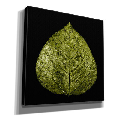 «Green Leaf» Epic Graffiti par Photoinc Studio, Can «Green Leaf» par PhotoINC Studio