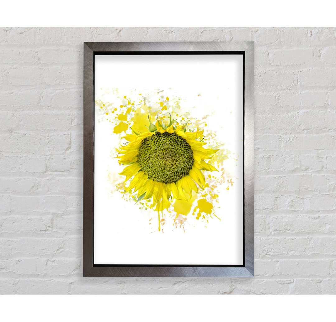 Sonnenblume Splash 2 - Druck