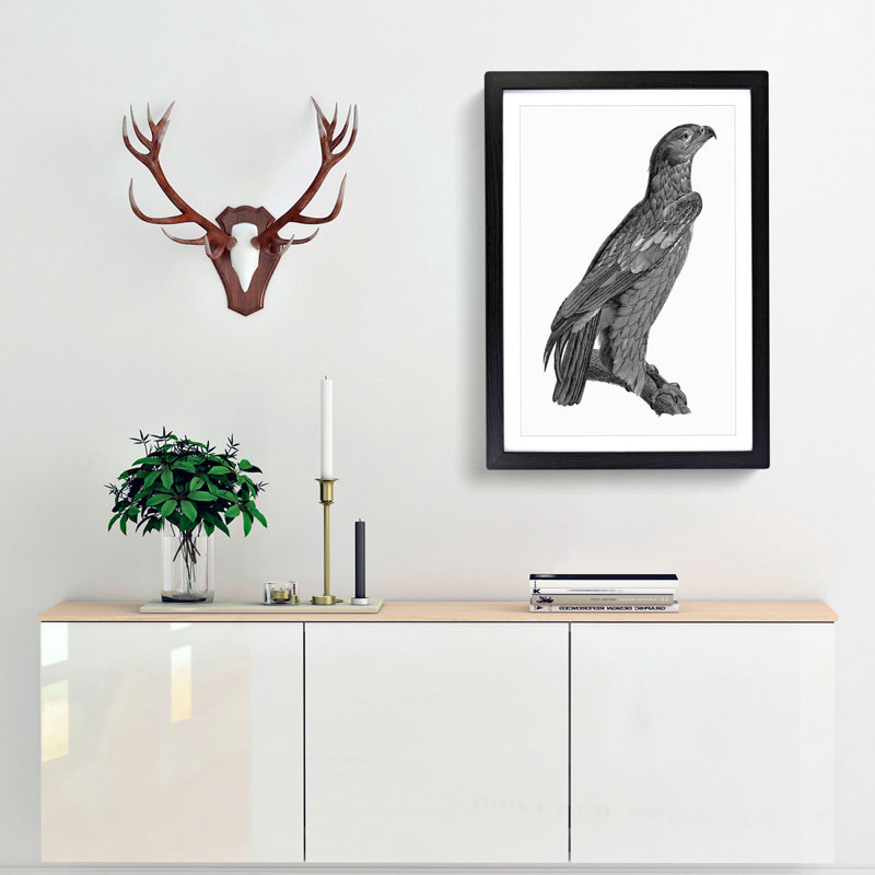 Spotted Eagle Illustration - Framed Print, Black Framed, 65cm H x 48cm W x 2cm D