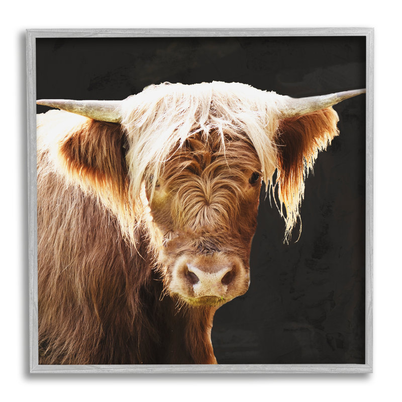 Reproduction de photo sur toile brune par Emily Navas, Estampe numérique Farmhouse, H 12 po x l 12 po