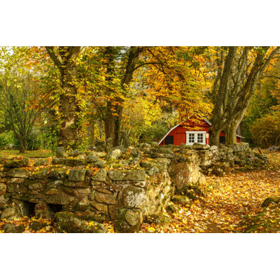 " Idyllic Garden With A Cottage In The Fall " by Tt