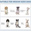 Fabrication d'alimentation pour chiens avec outils d'alimentation cachés, panneau réglable, crochets pour chiens de taille moyenne, bols dissimulés station noire, panneau et