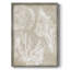 Neutre Coral II, reproduction encadrée - bois massif-1570706365