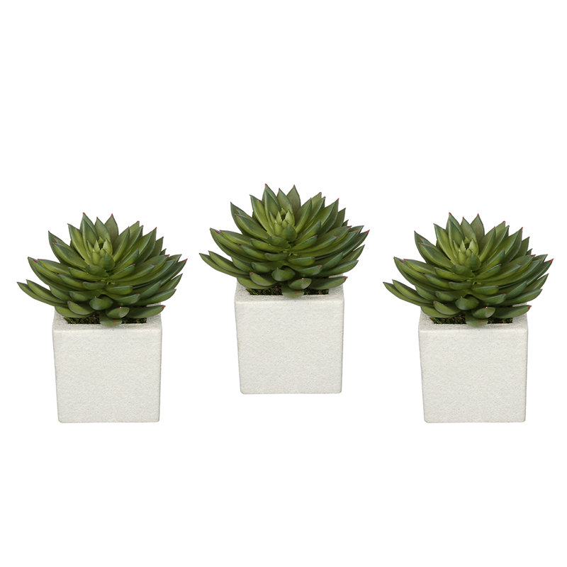 6'' Faux Echeveria (succulents) Succulent in Ceramic Decorative Vase, White, Green