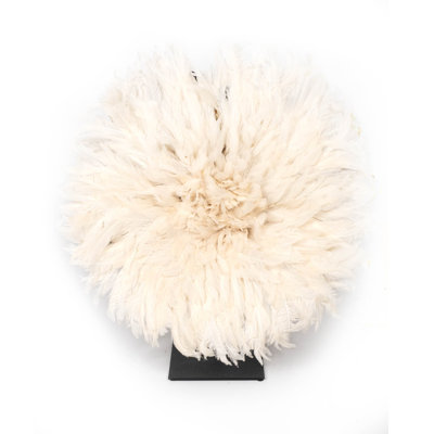 20" Cameroon Feather (JuJu) Décor on Display Stand