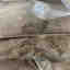 Photos des clients 1 de 1