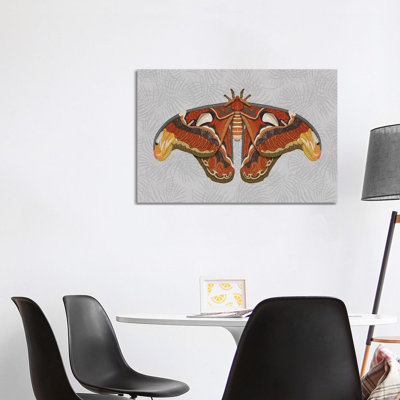 Atlas Moth - Light 1 Piece Wrapped Canvas Wall Art