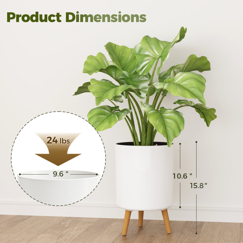Indicateur de niveau d'eau pour pot à plantes, 9,6 po
