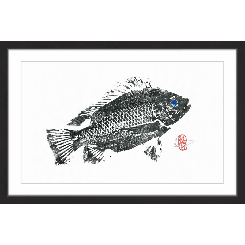 « medium tilapia », reproduction d’art encadrée, H 30 po x l 45 po x P 1,5 po