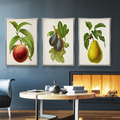 Antique Fruit II, ensemble de 3 toiles tendues avec châssis de qualité supérieure