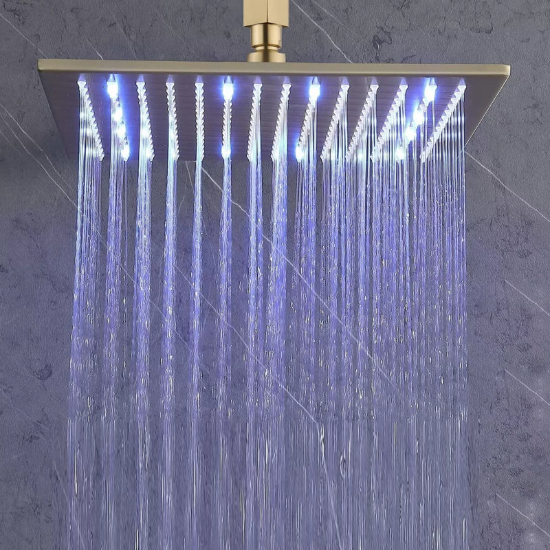 Pomme de douche à pluie réglable 2,5 GPM GPM avec autonettoyant