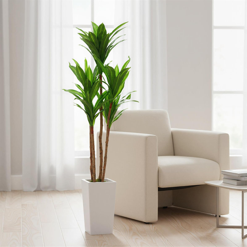 Dracaena artificiel de 4,8 pi avec jardinière blanche, grande plante en bois brésilienne pour la maison et le bureau