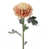 Rose est en rupture de stock