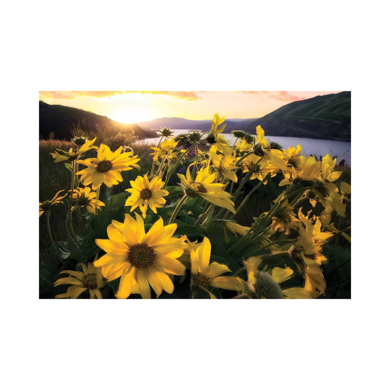 Columbia Flora by Dennis Frates - Print on Canvas, 66.04cm H x 101.6cm W x 3.81cm D, Wrapped Canvas