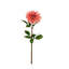 Arrangement floral 28 po Dahlia-1171431762