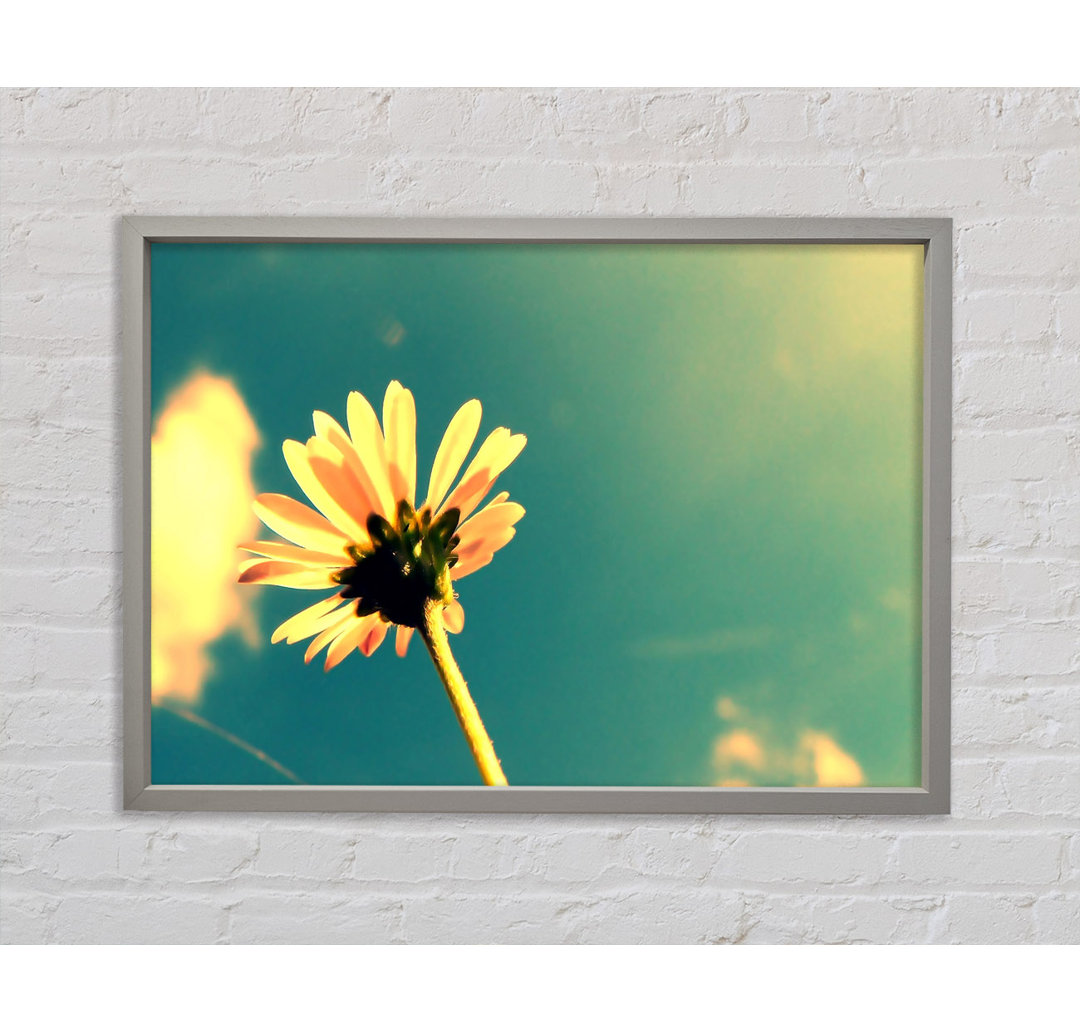 Sommerblume Retro Sonnenschein - Einzelner Bilderrahmen Kunstdrucke auf Leinwand