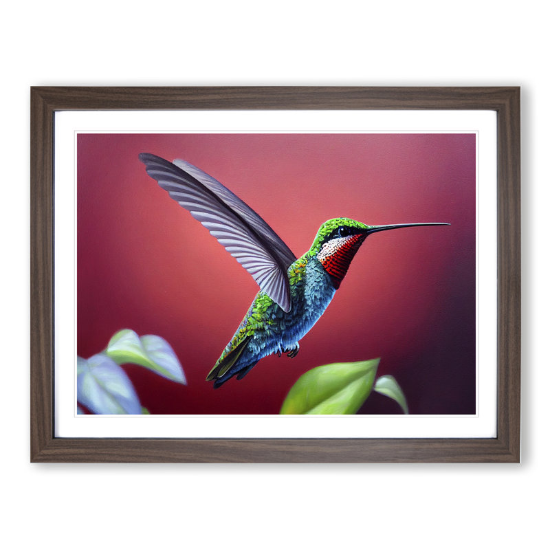Charming Hummingbird - Single Picture Frame Print, 46cm H x 64cm W x 2cm D, Walnut
