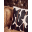 Dequisha Abstract Square Cushion