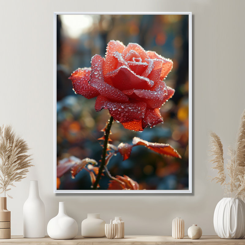 Rose rouge matin, aube, gouttes de rosée - art mural salon rose, H 44 po x l 34 po x P 1,5 po, Toile encadrée flottée blanche