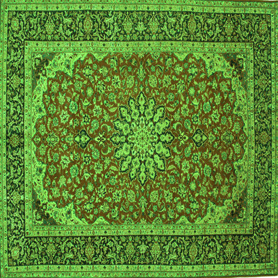 Mccarey Performance Oriental Indoor Rug
