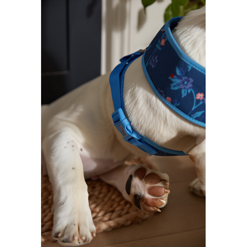 Flora Fauna Greenwich Flowers Harness M