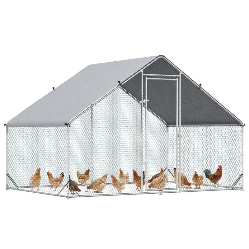 Poulailler avec couloir Mitzel, H 79 po x l 118 po x P 79 po