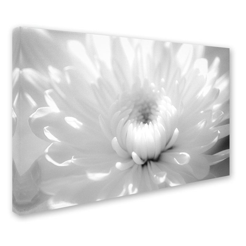 « Infrared Flower 2 », épreuve photographique sur toile tendue, H 22 po x l 32 po x P 2 po