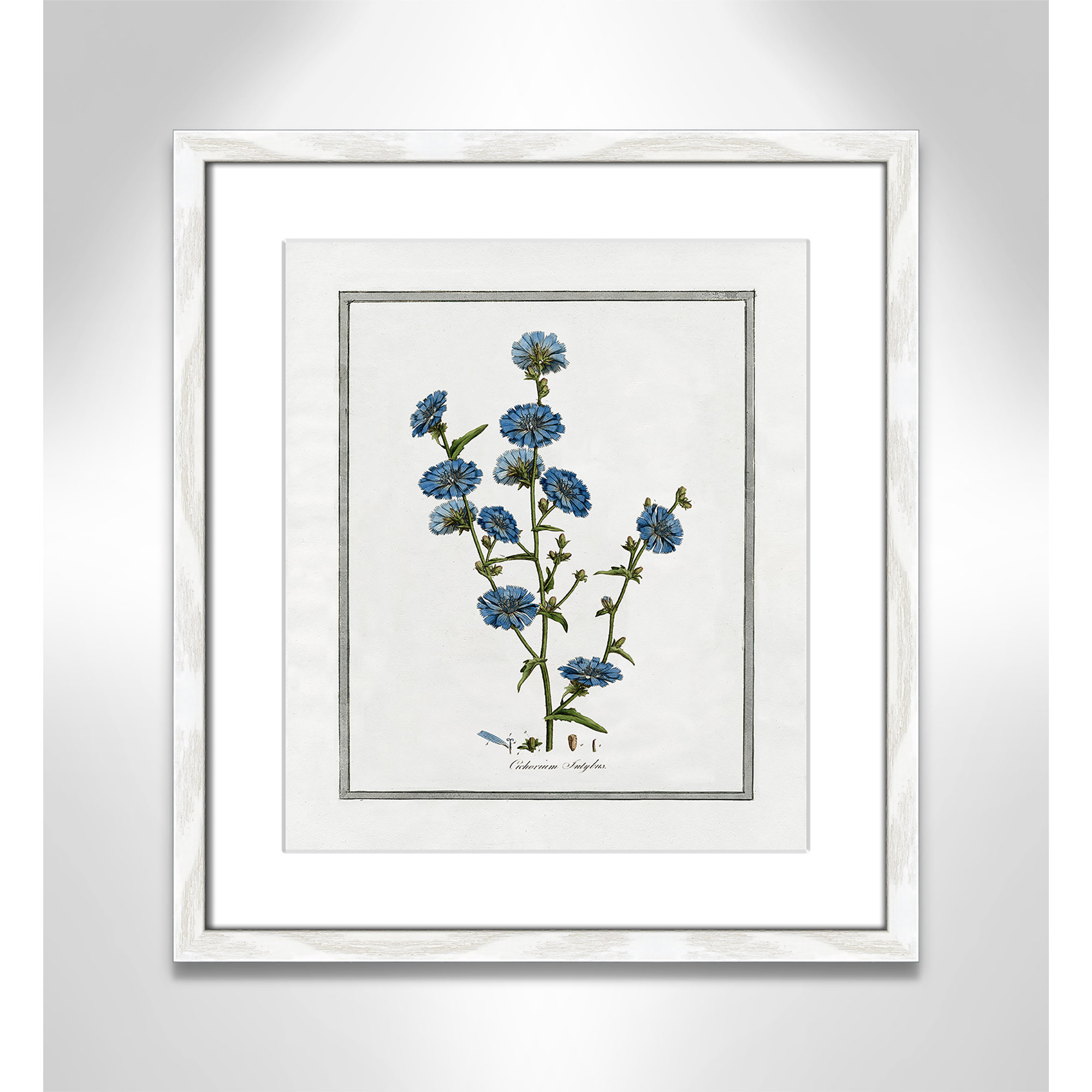 Soft Botanical I - Framed Art Full Bleed, 13" W x 15" H, White Framed