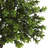 23 " H Faux Foliage Plant